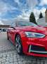 Audi S5 3.0 QUATTRO NAVI-AUTOMA-LEDER-TEMPOMAT-SHZ- Rojo - thumbnail 43
