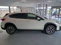 Subaru XV 1.6i Sport CVT Blanco - thumbnail 2