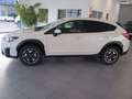 Subaru XV 1.6i Sport CVT Blanco - thumbnail 6