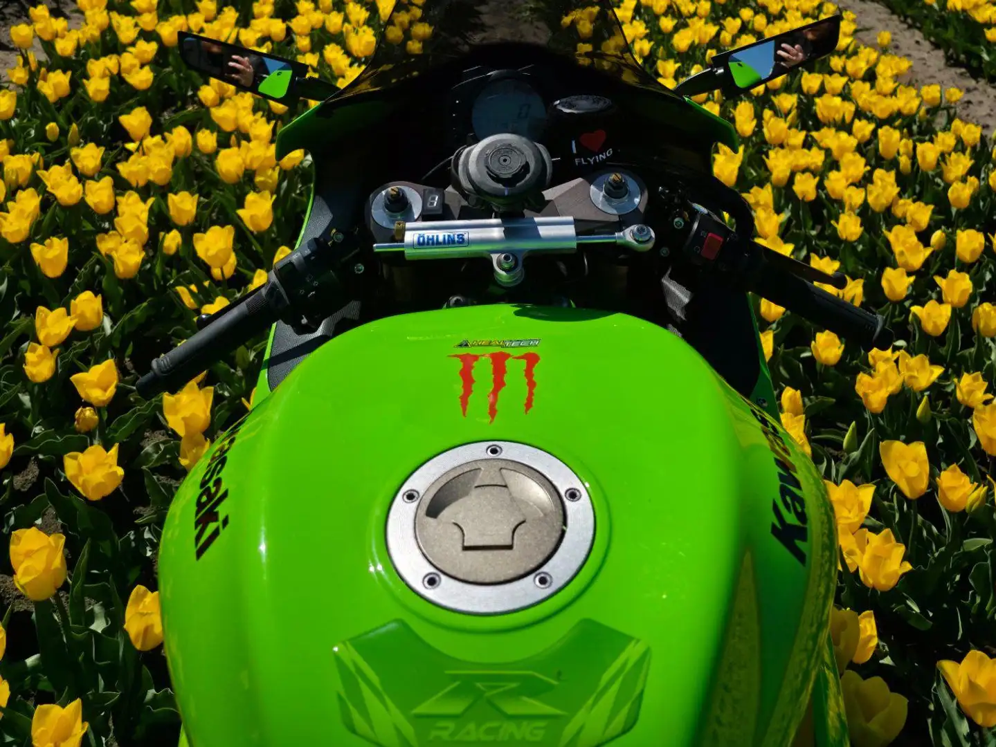 Kawasaki Ninja ZX-10R Groen - 2