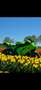 Kawasaki Ninja ZX-10R Groen - thumbnail 4