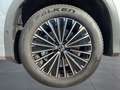 Volkswagen Tayron 1.5 TSI DSG Life ACC AHZV LED Navi Kamera Silber - thumbnail 17