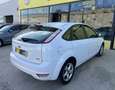 Ford Focus 1.6TDCi Trend 109 Blanco - thumbnail 6