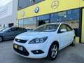 Ford Focus 1.6TDCi Trend 109 Blanco - thumbnail 1
