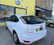 Ford Focus 1.6TDCi Trend 109 Blanco - thumbnail 9