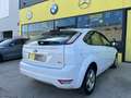 Ford Focus 1.6TDCi Trend 109 Blanco - thumbnail 7