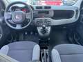 Fiat Panda Panda 1.0 firefly hybrid s&s 70cv * SUPER PROMO Grigio - thumbnail 9