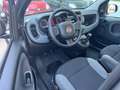 Fiat Panda Panda 1.0 firefly hybrid s&s 70cv * SUPER PROMO Grigio - thumbnail 7
