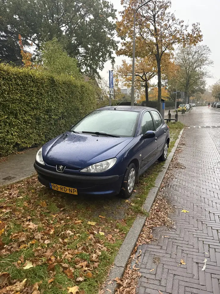 Peugeot 206