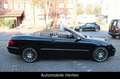 Mercedes-Benz CLK 350 CABRIO Negro - thumbnail 8