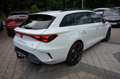 CUPRA Leon ST 2.0 TSI VZ 333 DSG 4x4 5JGAR+PANO+eAHK Weiß - thumbnail 5