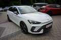 CUPRA Leon ST 2.0 TSI VZ 333 DSG 4x4 5JGAR+PANO+eAHK Weiß - thumbnail 6