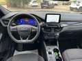 Ford Kuga 1.5 Ecoblue 120cv ST-LINE C.Automatico Grigio - thumbnail 15