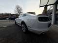Ford Mustang 3,7 Leder"Alu"Xenon Weiß - thumbnail 2