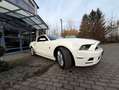 Ford Mustang 3,7 Leder"Alu"Xenon Weiß - thumbnail 5