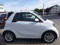 smart forTwo fortwo cabrio electric drive / EQ Weiß - thumbnail 10