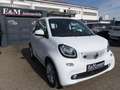smart forTwo fortwo cabrio electric drive / EQ Weiß - thumbnail 2