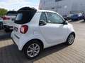 smart forTwo fortwo cabrio electric drive / EQ Weiß - thumbnail 7
