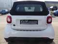 smart forTwo fortwo cabrio electric drive / EQ Weiß - thumbnail 5