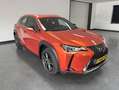 Lexus UX 250h Luxury Line / Zwart leer Orange - thumbnail 3