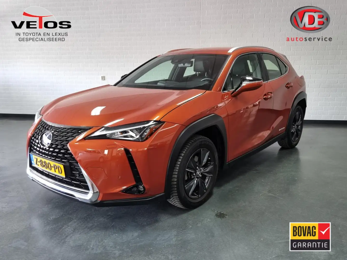 Lexus UX 250h Luxury Line / Zwart leer Orange - 1