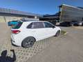 Hyundai i30 i30 1,0 T-GDI Trend Line Trend Line Weiß - thumbnail 11