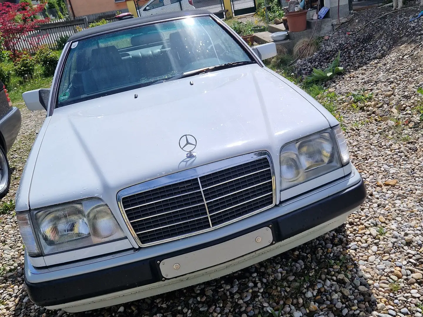 Mercedes-Benz 300 cabrio Alb - 2