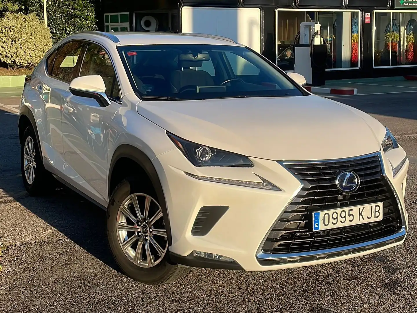 Lexus NX 300h NX 300h Business Navigation 2WD Blanco - 1