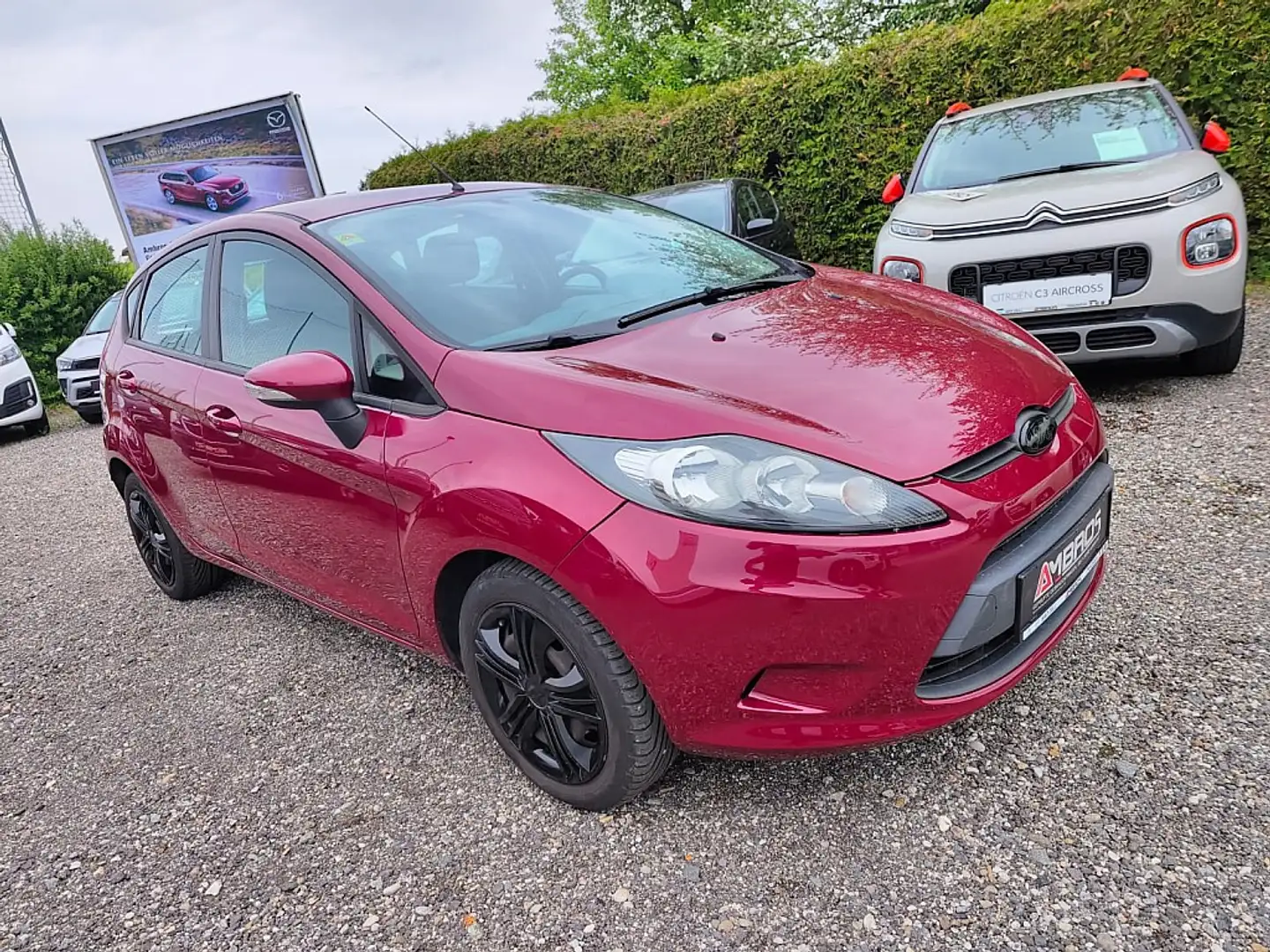 Ford Fiesta Trend 1,6 TDCi DPF Violett - 1