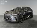 Lexus RX 450h + Executive Line +Pano+HeadUp+Navi+ Gri - thumbnail 2