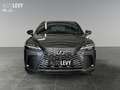 Lexus RX 450h + Executive Line +Pano+HeadUp+Navi+ Gri - thumbnail 8