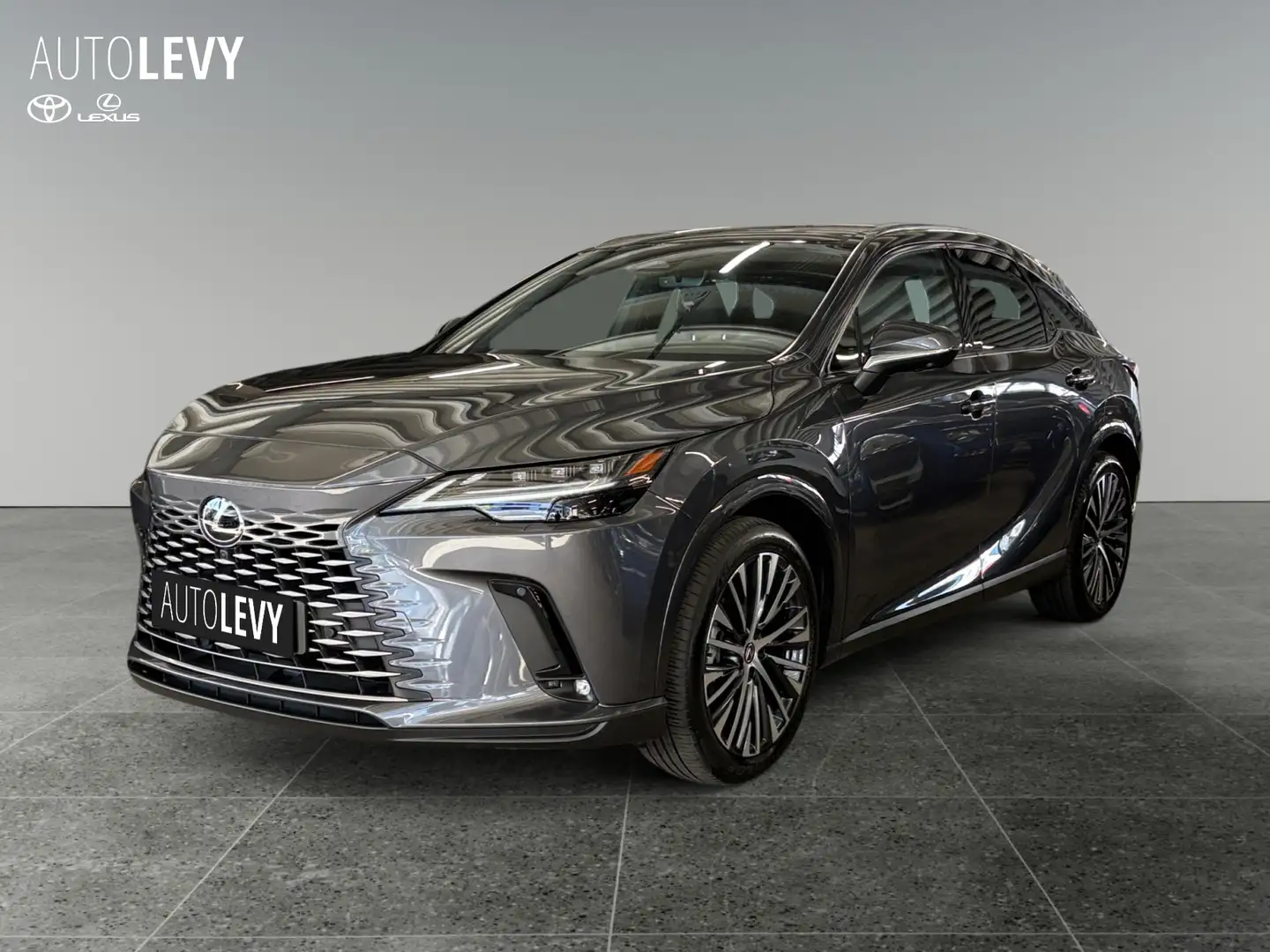 Lexus RX 450h + Executive Line +Pano+HeadUp+Navi+ Grau - 2