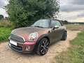 MINI Cooper Cabrio MINI CABRIO R57 1.6 SHZ PDC Leder Lounge Allwetter Vert - thumbnail 7