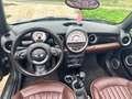 MINI Cooper Cabrio MINI CABRIO R57 1.6 SHZ PDC Leder Lounge Allwetter Vert - thumbnail 12