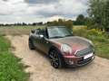 MINI Cooper Cabrio MINI CABRIO R57 1.6 SHZ PDC Leder Lounge Allwetter Vert - thumbnail 2