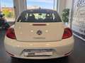 Volkswagen Maggiolino 1.6 tdi Design 105cv Bianco - thumbnail 4
