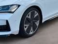 Skoda Superb Combi 2.0 TDI 142 kW 4x4 Sportline Weiß - thumbnail 9
