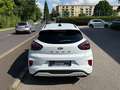 Ford Puma 1,0 EcoBoost Hybrid ST-Line X Weiß - thumbnail 5