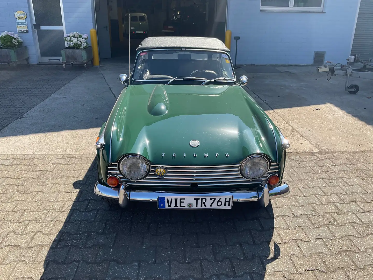 Triumph TR4 Grün - 1