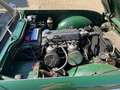 Triumph TR4 Grün - thumbnail 5