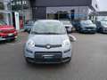 Fiat Panda 1.0 Hybrid 70cv CITY LIFE Usato Garantito Grau - thumbnail 2