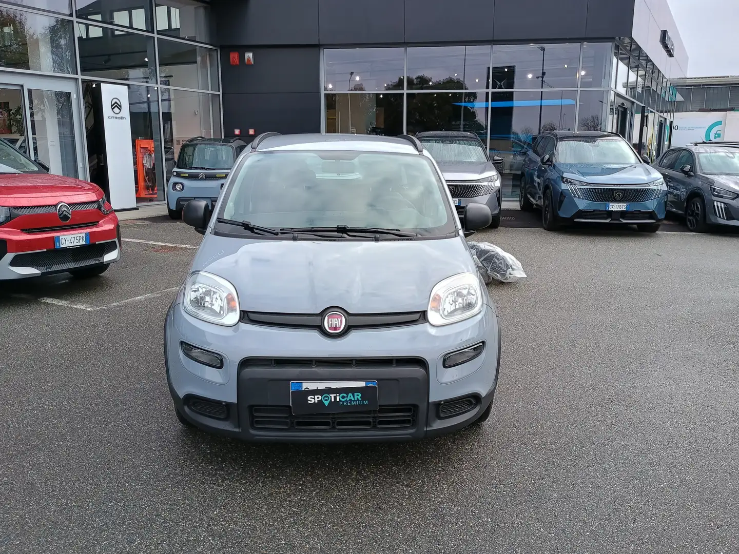 Fiat Panda 1.0 Hybrid 70cv CITY LIFE Usato Garantito Grau - 2