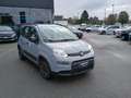 Fiat Panda 1.0 Hybrid 70cv CITY LIFE Usato Garantito Grau - thumbnail 1
