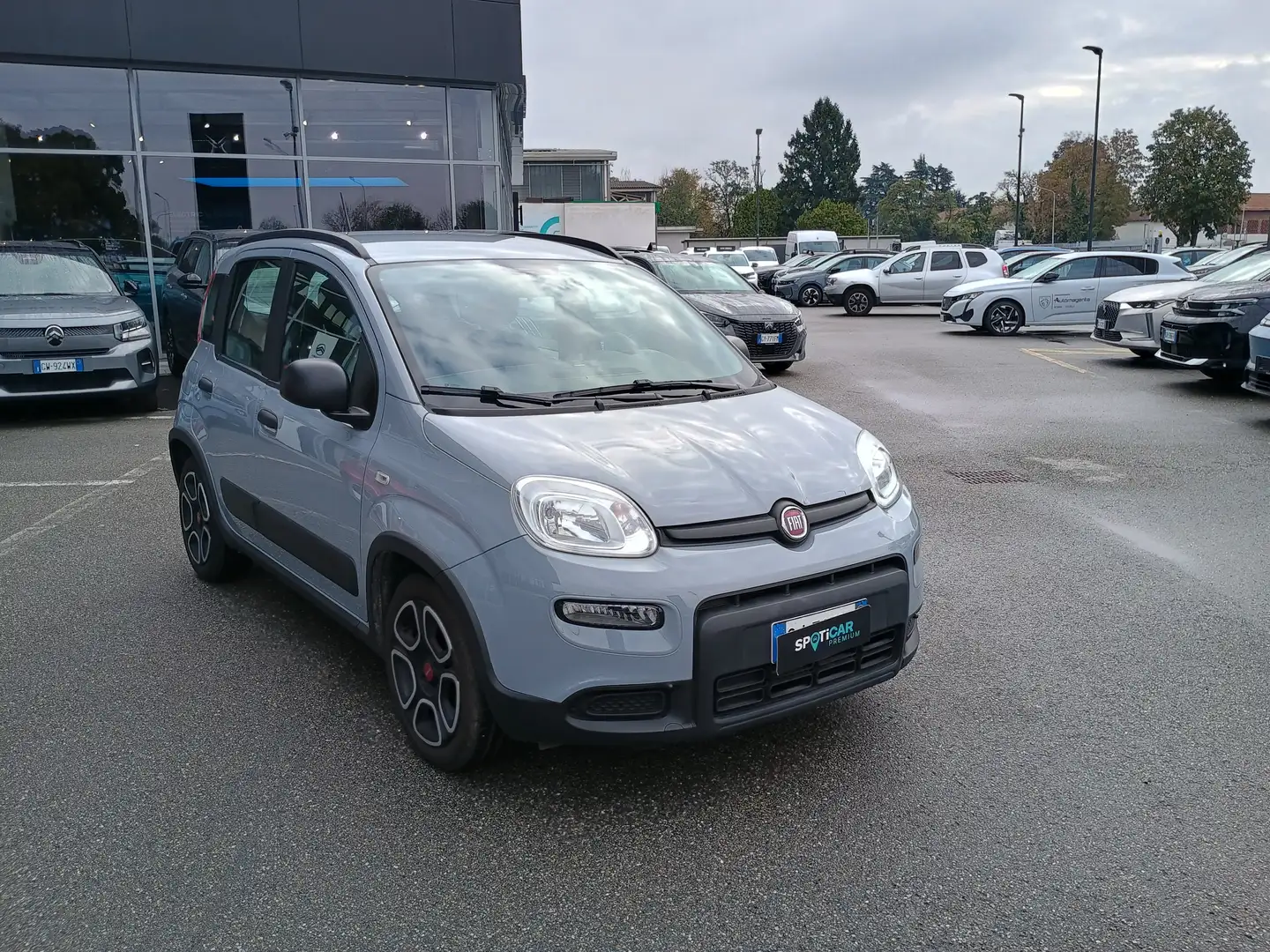 Fiat Panda 1.0 Hybrid 70cv CITY LIFE Usato Garantito Grau - 1