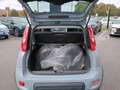 Fiat Panda 1.0 Hybrid 70cv CITY LIFE Usato Garantito Grau - thumbnail 7