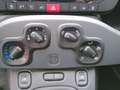 Fiat Panda 1.0 Hybrid 70cv CITY LIFE Usato Garantito Grau - thumbnail 14