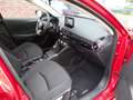 Mazda 2 1.5 SkyActiv-G 90 Homura NL AUTO Rood - thumbnail 19