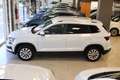 Skoda Karoq 2.0TDI AdBlue Ambition 4x4 DSG 110kW Blanco - thumbnail 8
