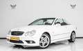 Mercedes-Benz CLK 280 V6 Pack AMG Grand Edition Blanc - thumbnail 1