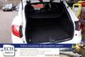 Porsche Cayenne 4.8 S Aut. 400 pk Panodak, Burmester Audio, Leer Wit - thumbnail 13